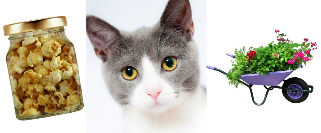 Kollage på veckans nyheter