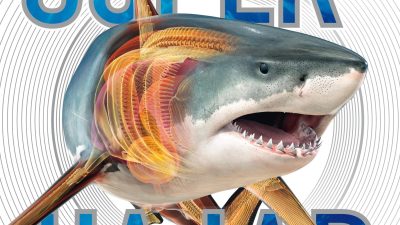 Boktips: Superhajar och andra djur i djupet